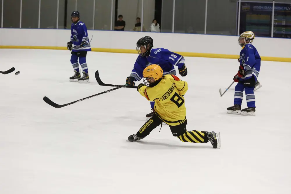 Exceptional performance at Tropical Freeze 2024, photo 2